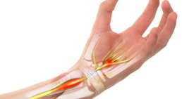 Hand -