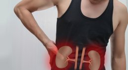 Nieren- und Harnleitersteine -
