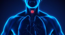 Hypothyreose -
