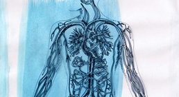Dr. Bernhard Hohenberger - Internist Wien 1160