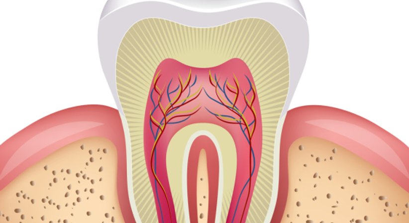 händische und maschinelle Wurzelkanalaufbereitung mit Längenmessung - Dr. Erkan Kaya - Zahnarzt Wien 1160