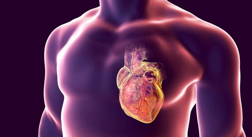 Herz-Kreislauf-Erkrankungen - Priv.-Doz. Dr. Christian Muschitz - Internist Wien 1010