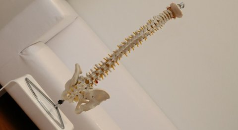OA Dr. Hans-Peter Holzapfel - Orthopäde Wien 1190