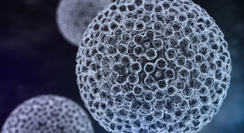 HPV, HPV-Impfung - Dr. Regina Kesztele - Frauenärztin Linz 4040