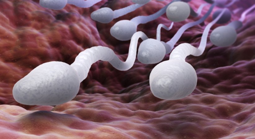 Sexualität - Dr. Regina Kesztele - Frauenärztin Linz 4040