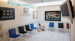 OA Dr. Markus Winnisch, MSc - Orthopäde Wien 1090