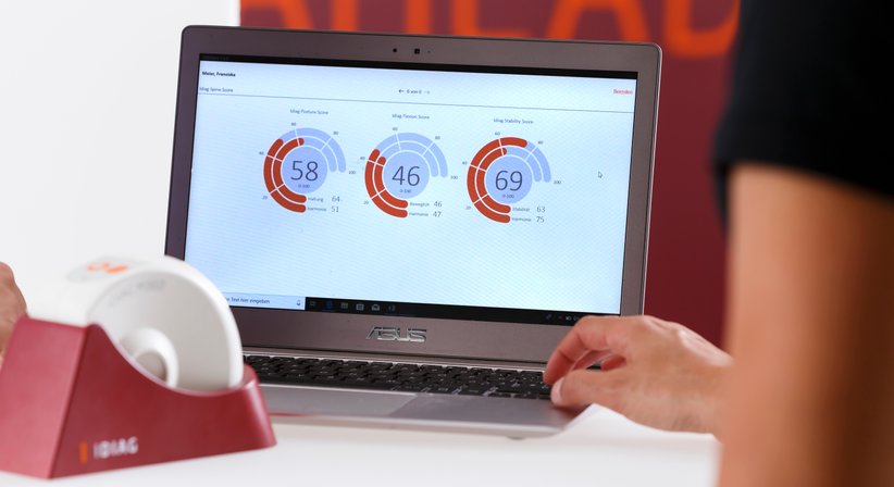 Digitale Wirbelsäulenanalyse (Idiag 360) - Dr. Thomas Laimer - Praktischer Arzt Leobersdorf 2544