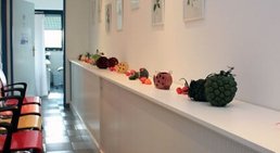 Praxis - OMR Dr. Gabriele Grabner - Hautärztin Wien 1220