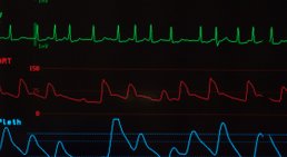 Mag. Dr. med. Lukas Fiedler - Internist Mödling 2340