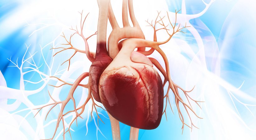 Herzkatheteruntersuchung - Dr. Ivica Jukic - Internist Mödling 2340